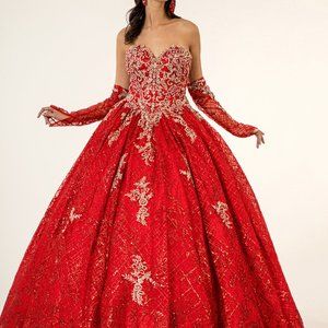 Embroidered Mesh Quinceanera Dress GSGL1943